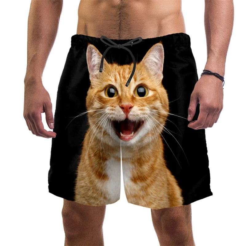 3d Print Funny Cat Beach Short - Trunks Board Surf ulasan dan harga