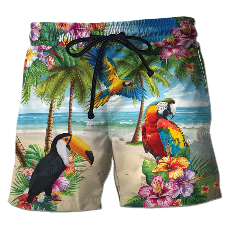 Parrot Toucan 3D Print Short P - Trunks Board Surf ulasan dan harga